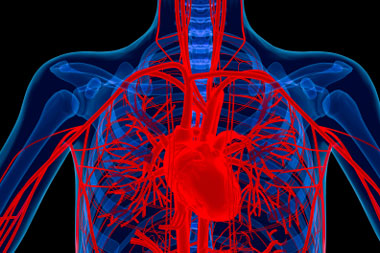 cardiology-CRCBs-abdominal-aortic-aneurism